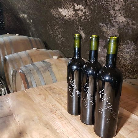 Grand Cru 3. Vendeghaz Villa Hegymagas Eksteriør bilde