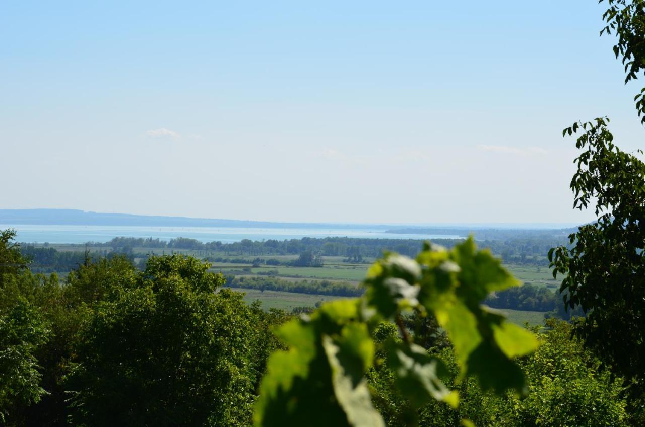 Grand Cru 3. Vendeghaz Villa Hegymagas Eksteriør bilde
