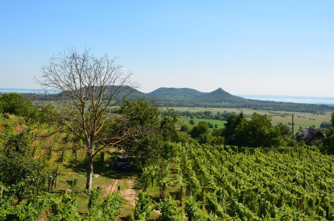 Grand Cru 3. Vendeghaz Villa Hegymagas Eksteriør bilde