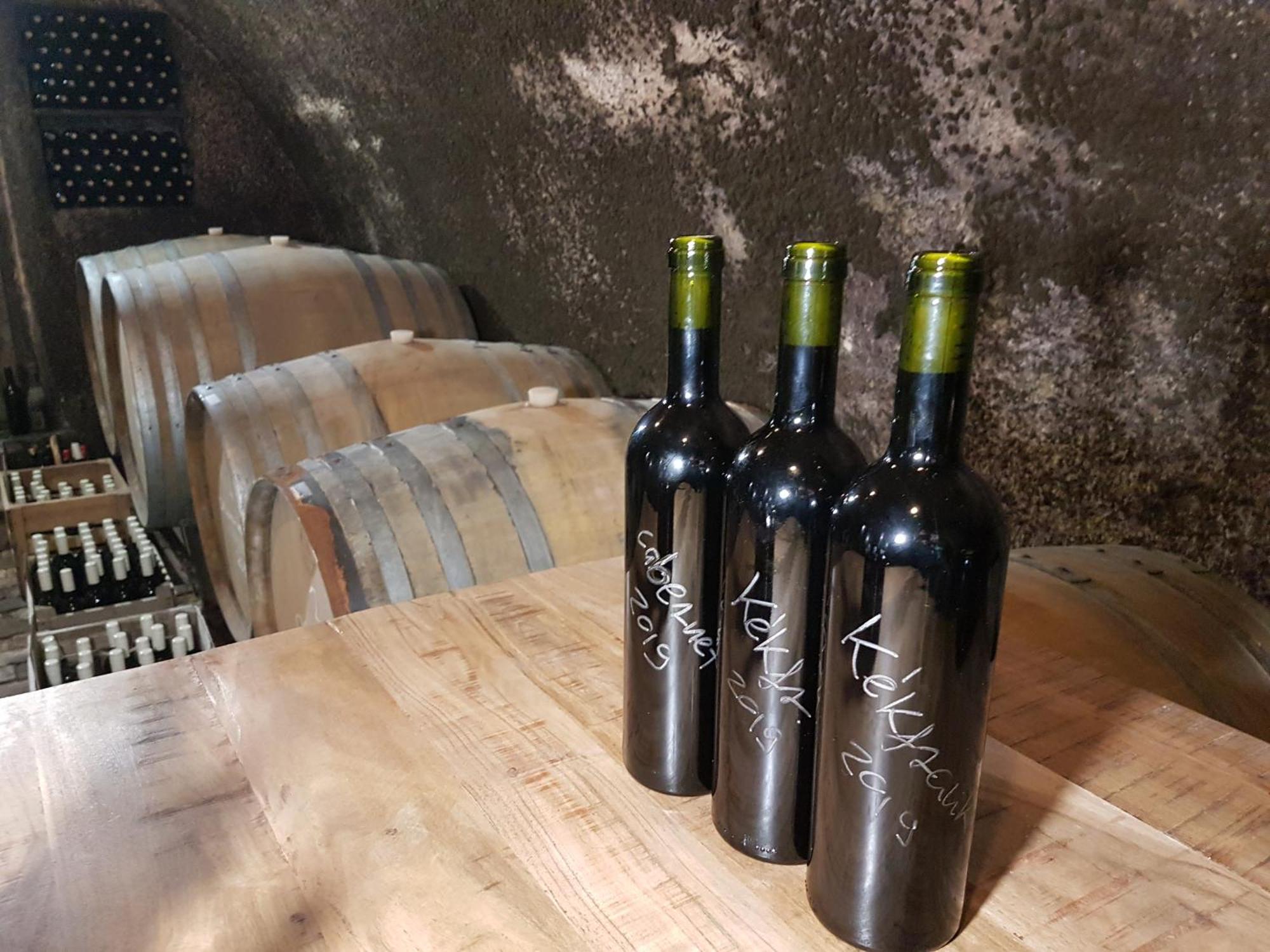Grand Cru 3. Vendeghaz Villa Hegymagas Eksteriør bilde