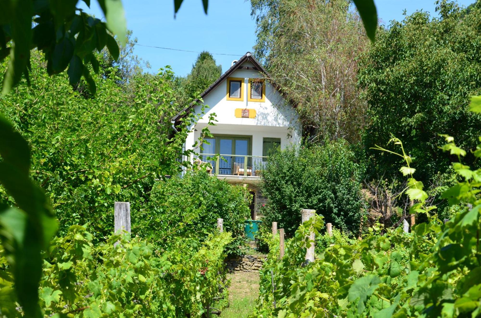 Grand Cru 3. Vendeghaz Villa Hegymagas Eksteriør bilde