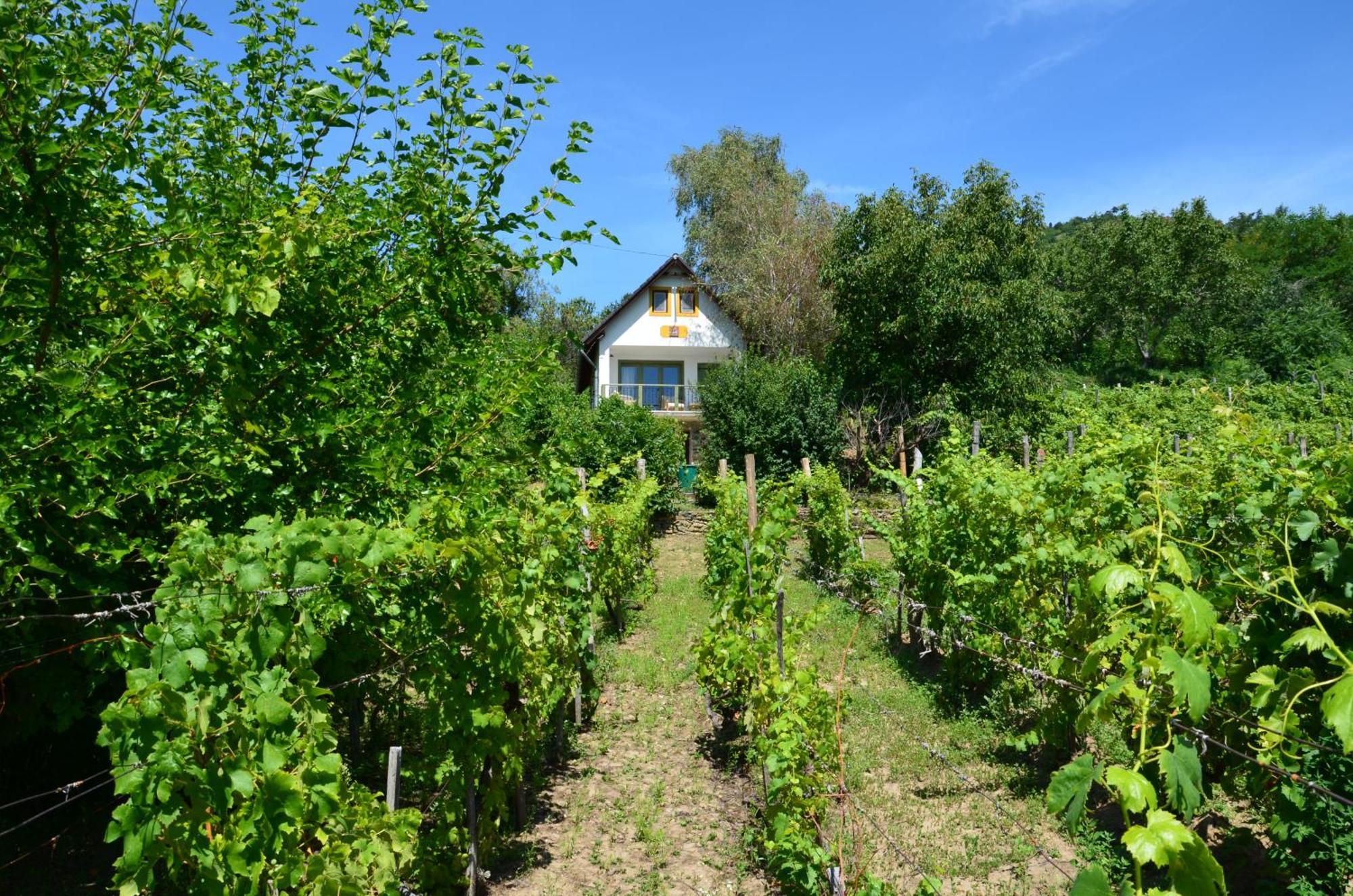 Grand Cru 3. Vendeghaz Villa Hegymagas Eksteriør bilde